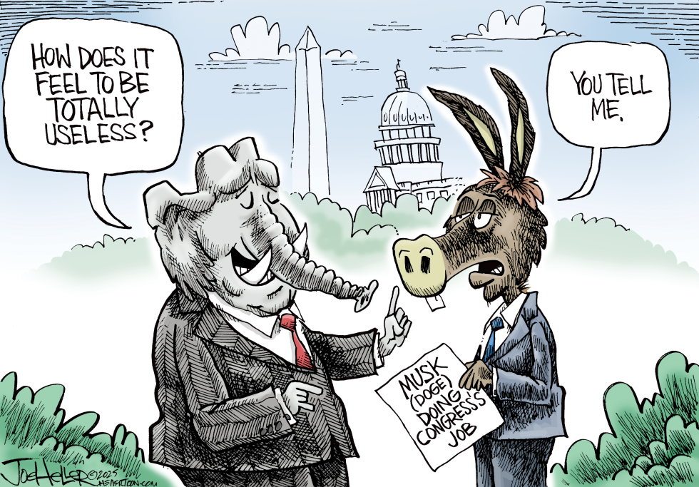Useless Congress