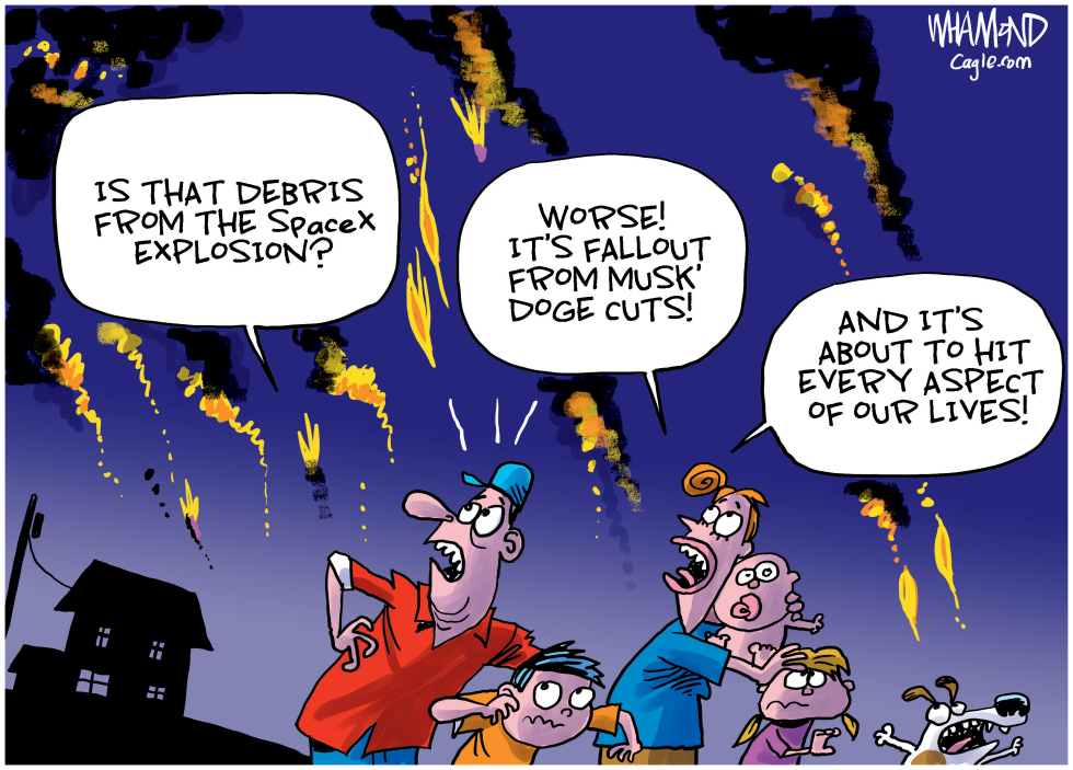 Elon Musk fallout