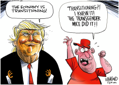 ECONOMY IS TRANSITIONING by Dave Whamond