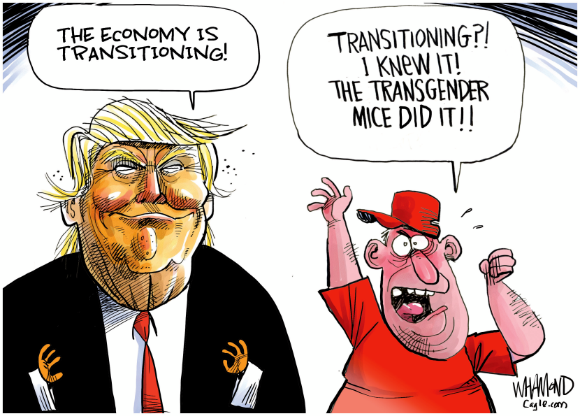 Economy is transitioning