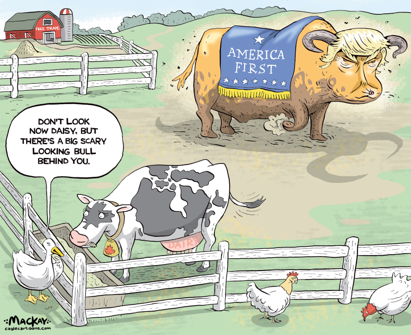 Canada's dairy exports to U.S. stay tariff-free