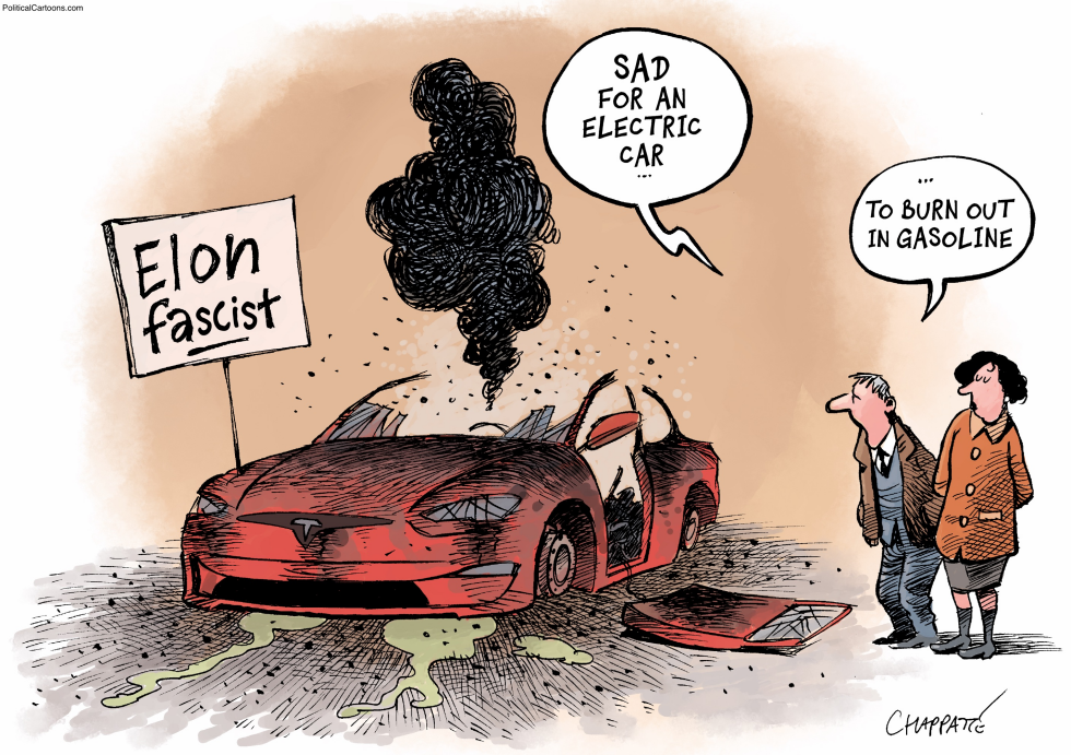Protesters torch Tesla amid Elon Musk fascist accusations