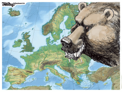 BEAR BAIT by Bill Day