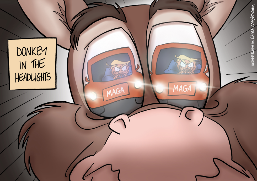 #3 DEMOCRATS AT A STANDSTILL by Alexandra Bowman