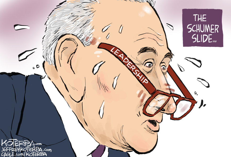 #3 SCHUMER'S SLIDING LEADERSHIP by Jeff Koterba