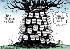 TAPPING SEASON by Joe Heller