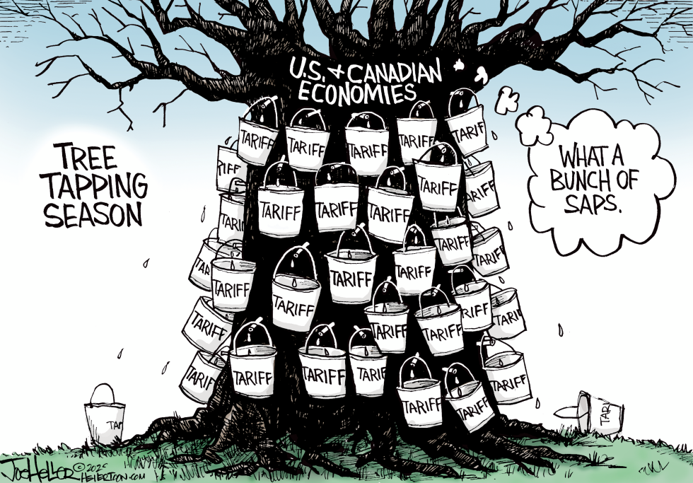 Tapping Season