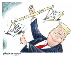 TRUMP AND RULE OF LAW by Dave Granlund