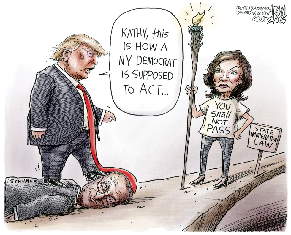 NY Schumer Caves to Trump