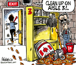 CLEAN UP by Steve Nease