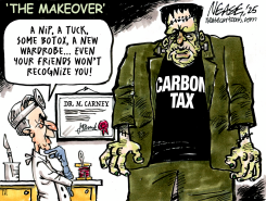 MAKEOVER by Steve Nease