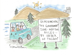 NO GOVERNMENT by Harley Schwadron