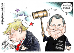 JUSTICE ROBERTS REBUKES TRUMP by Dave Granlund