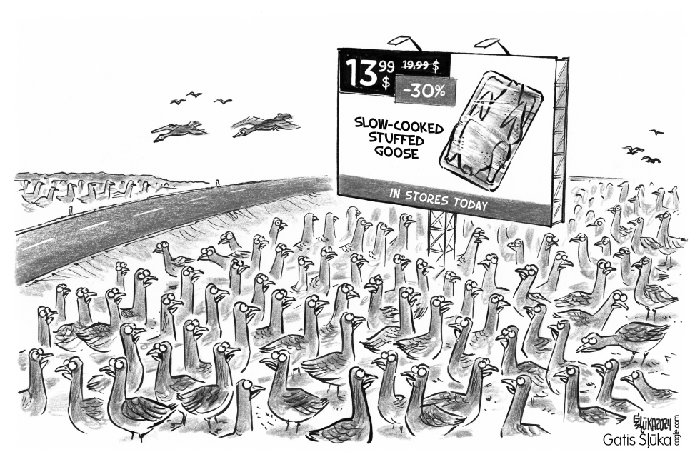 Flock of geese in a field is looking at billboard