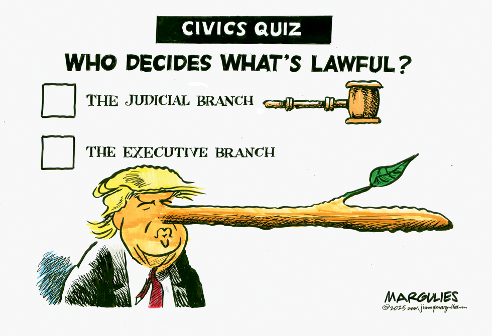 Trump's Long Nose Points to Executive Branch in Civics Quiz on Judicial Power