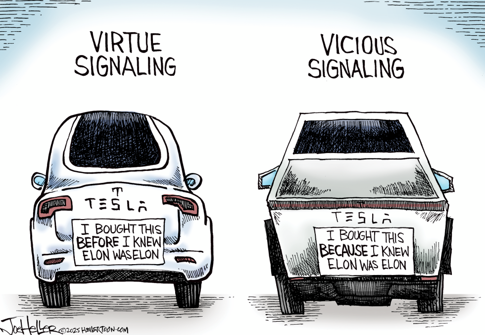 Tesla Owners