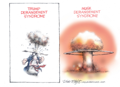 MUSK DERANGEMENT SYNDRONE by Dick Wright