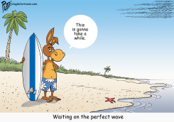 A DEMOCRAT WAITS FOR A PERFECT WAVE by Bruce Plante