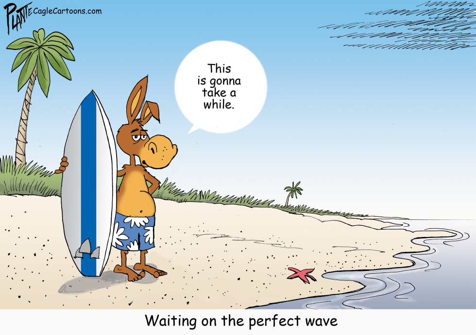 A Democrat waits for a perfect wave