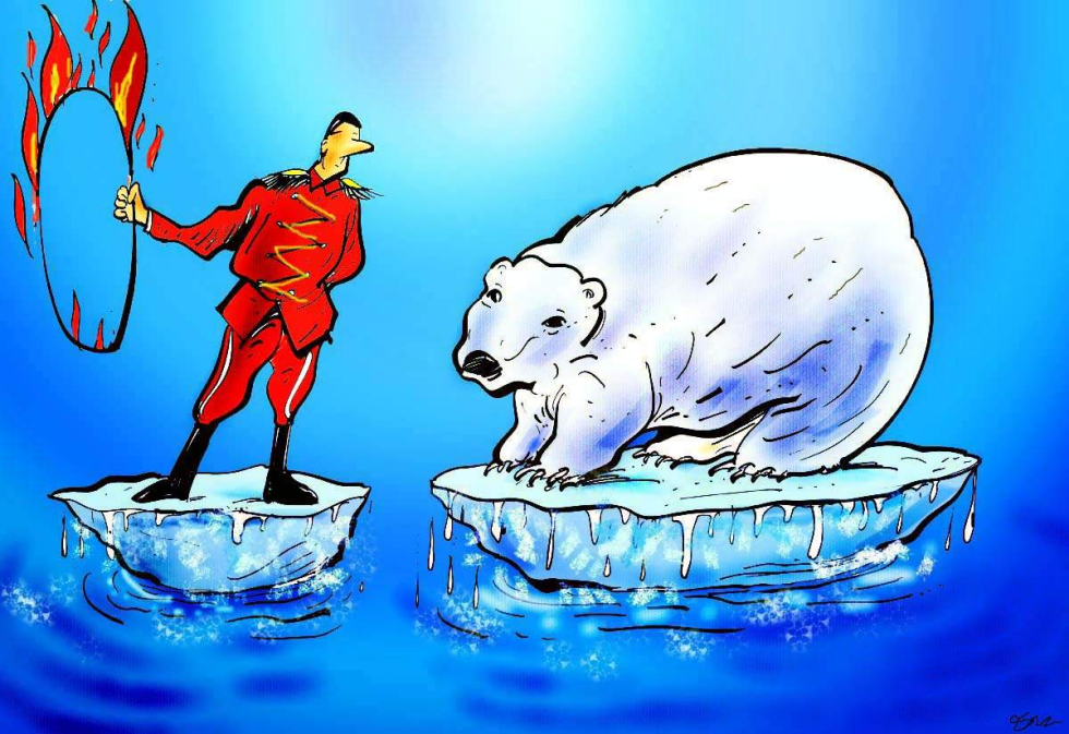 Polar Bear