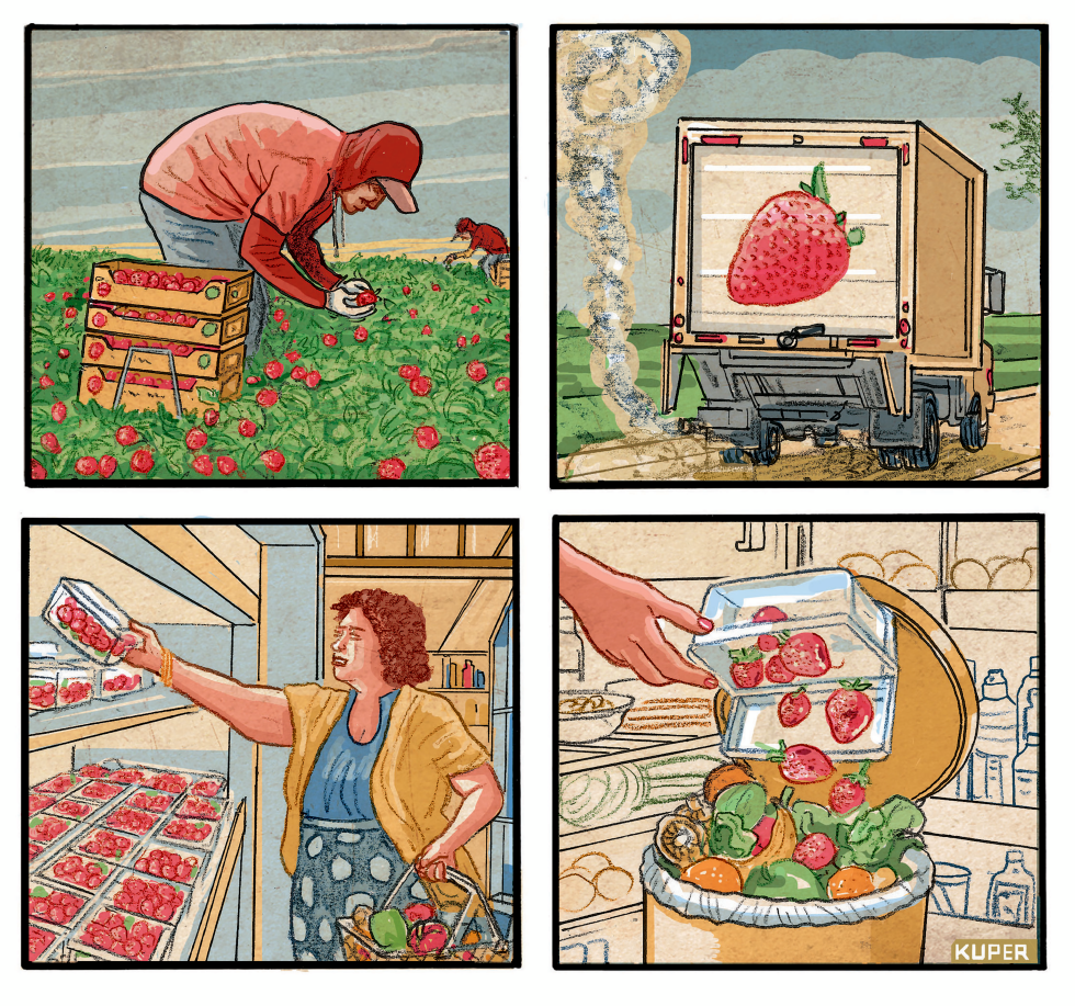 America's Habit of Wasting Food