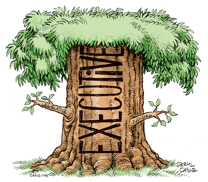 Tree Illustration Shows Executive Branch Overtaking Legislative and Judicial Limbs
