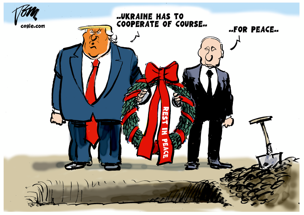 Ukraine peace talks