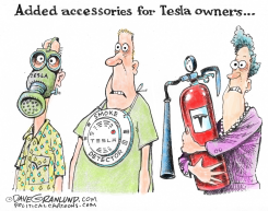 TESLA OWNER ACCESSORIES by Dave Granlund