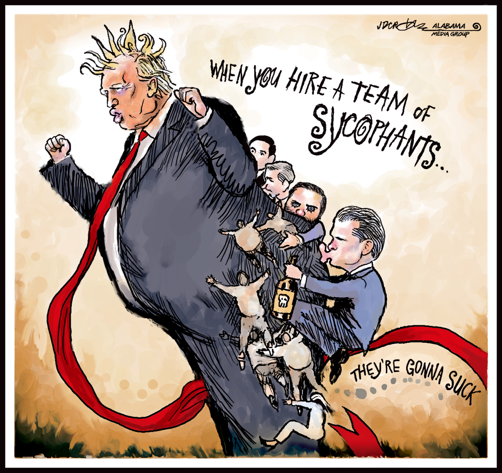 Trump sycophants SignalGate cluster suck