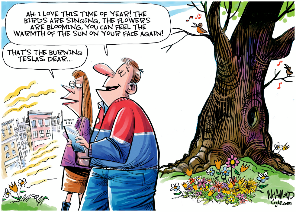 #1 SIGNS OF SPRING by Dave Whamond