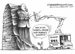 DEI REMOVAL TEAM by Dave Granlund