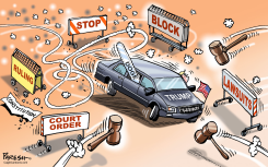 TRUMP AND JUDICIARY by Paresh Nath