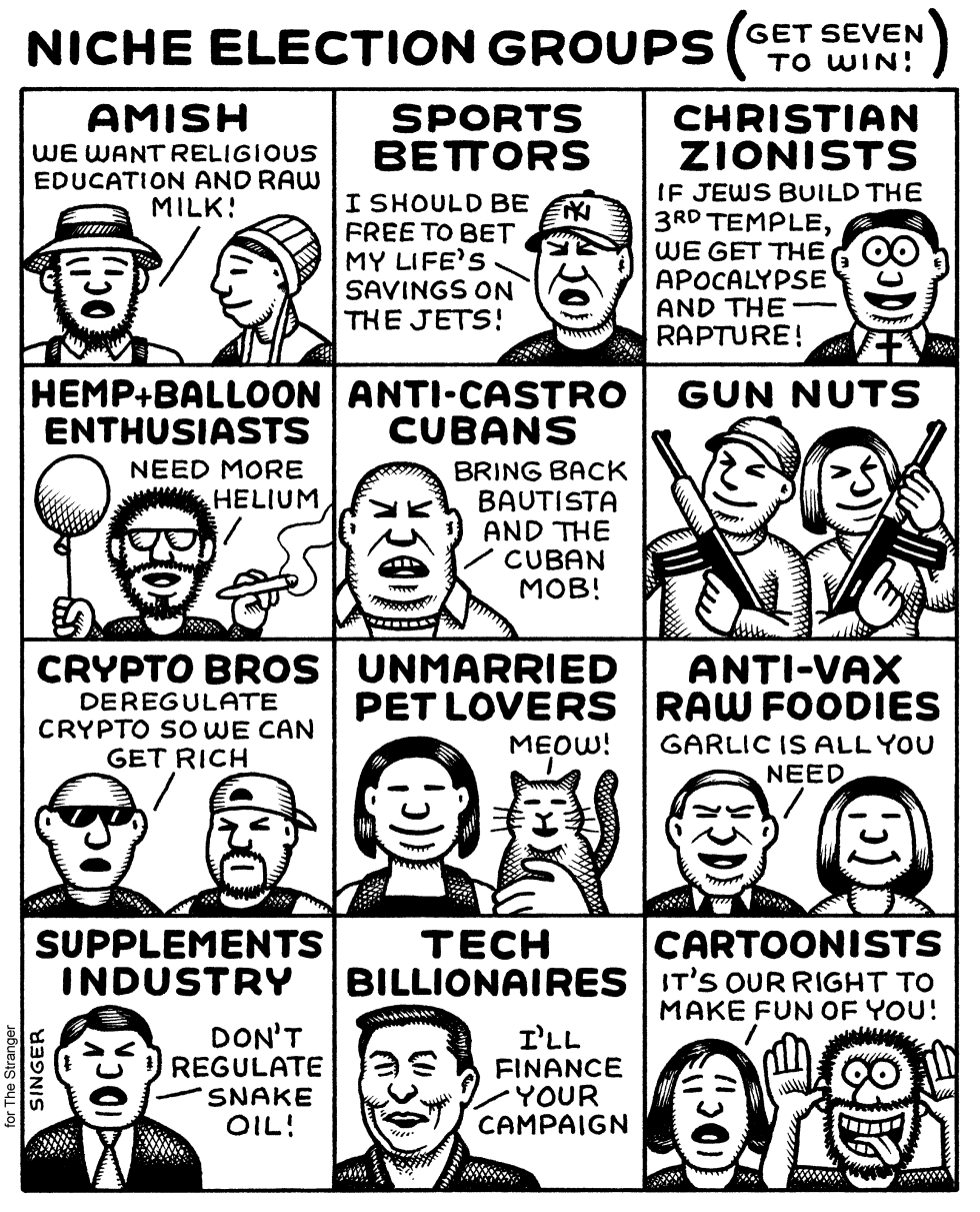 Niche Election Groups
