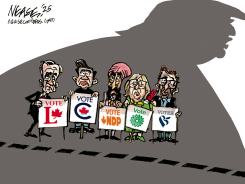 ELECTION SHADOW by Steve Nease