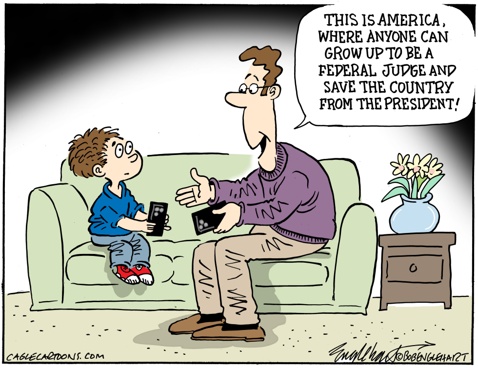 Federal Judges Saving American Democracy