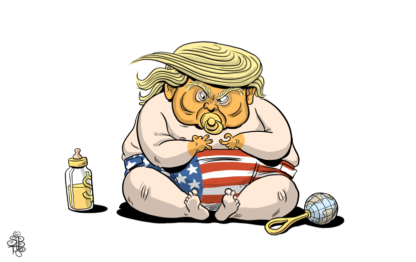 Calculating Donald Trump