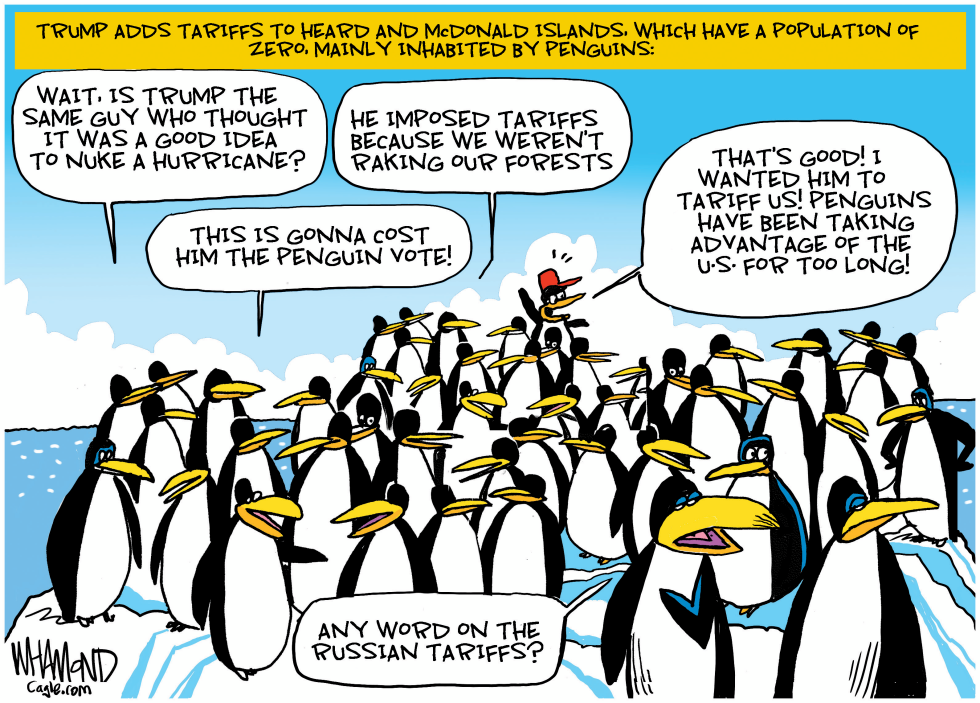 Trump imposes tariffs on island of penguins