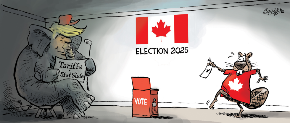 Elephant in the room