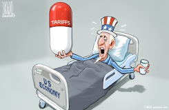 A TOUGH PILL by Luojie