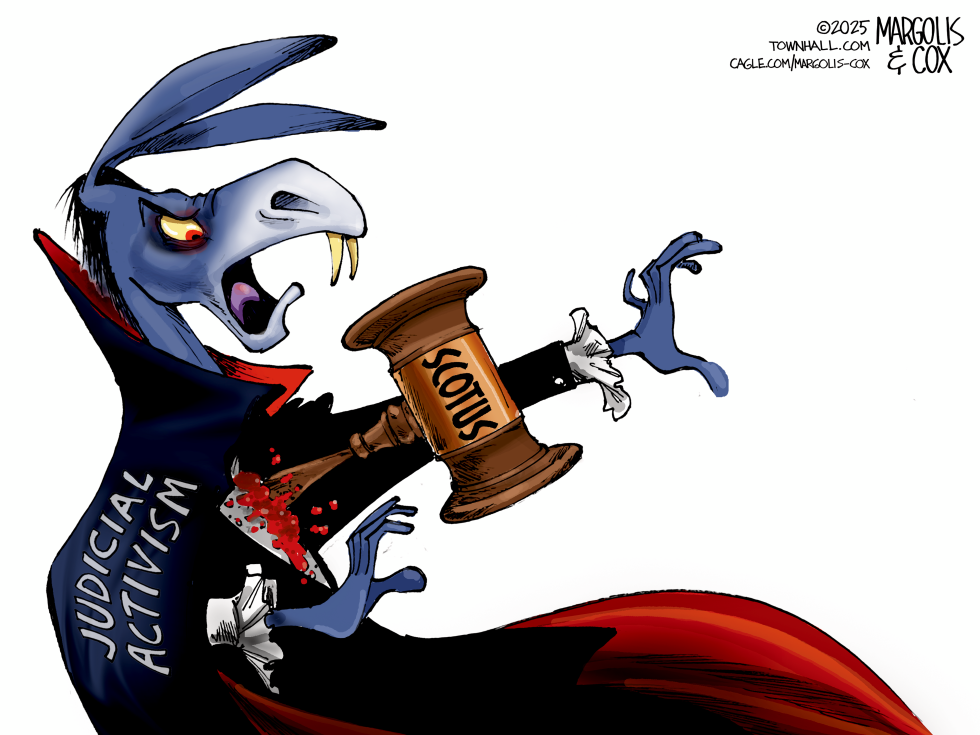 Stake in the Heart of Judicial Activism