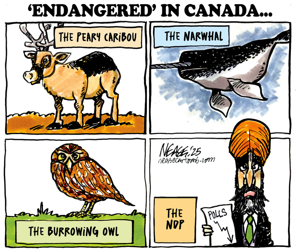 Endangered
