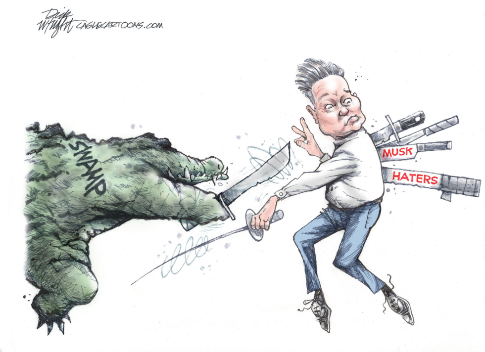 Musk War on Waste and Fraud and the Opposition