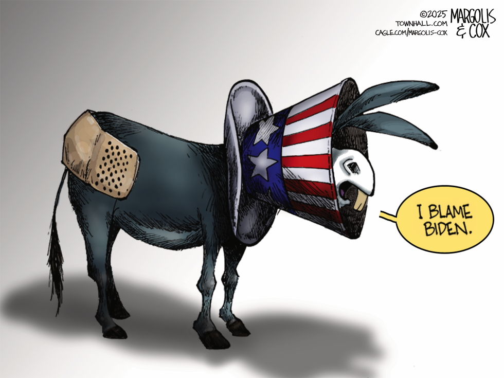 Democrats Cone Of Shame