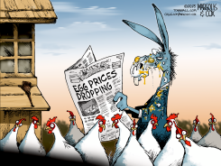 EGG PRICES DROP by Margolis & Cox