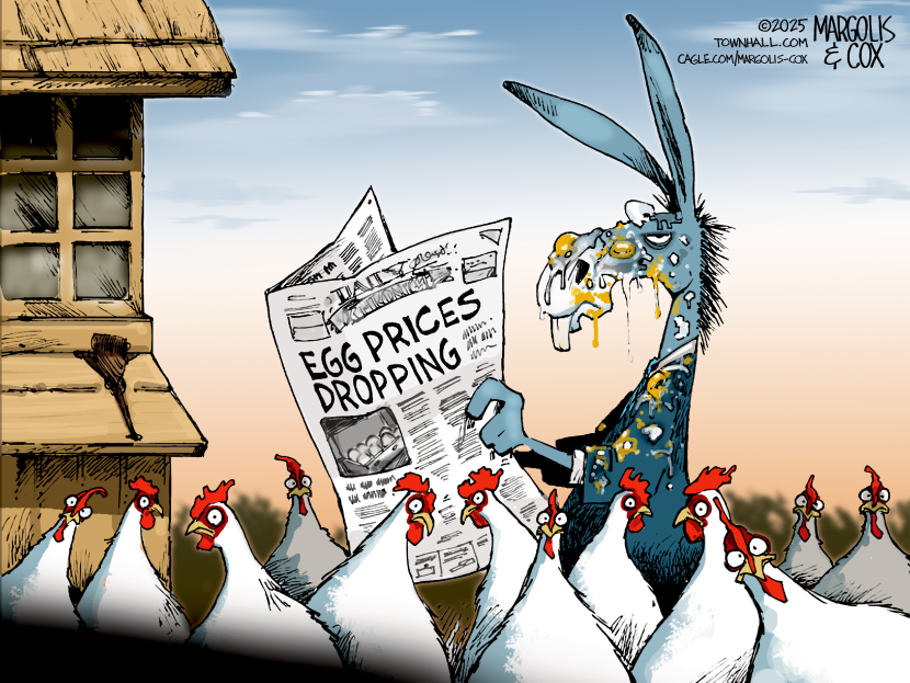Egg Prices Drop