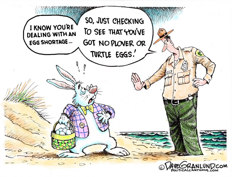Easter and Egg shortage