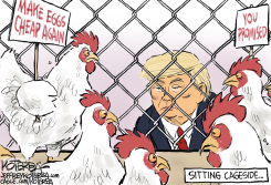 NOT A UFC CAGE MATCH by Jeff Koterba