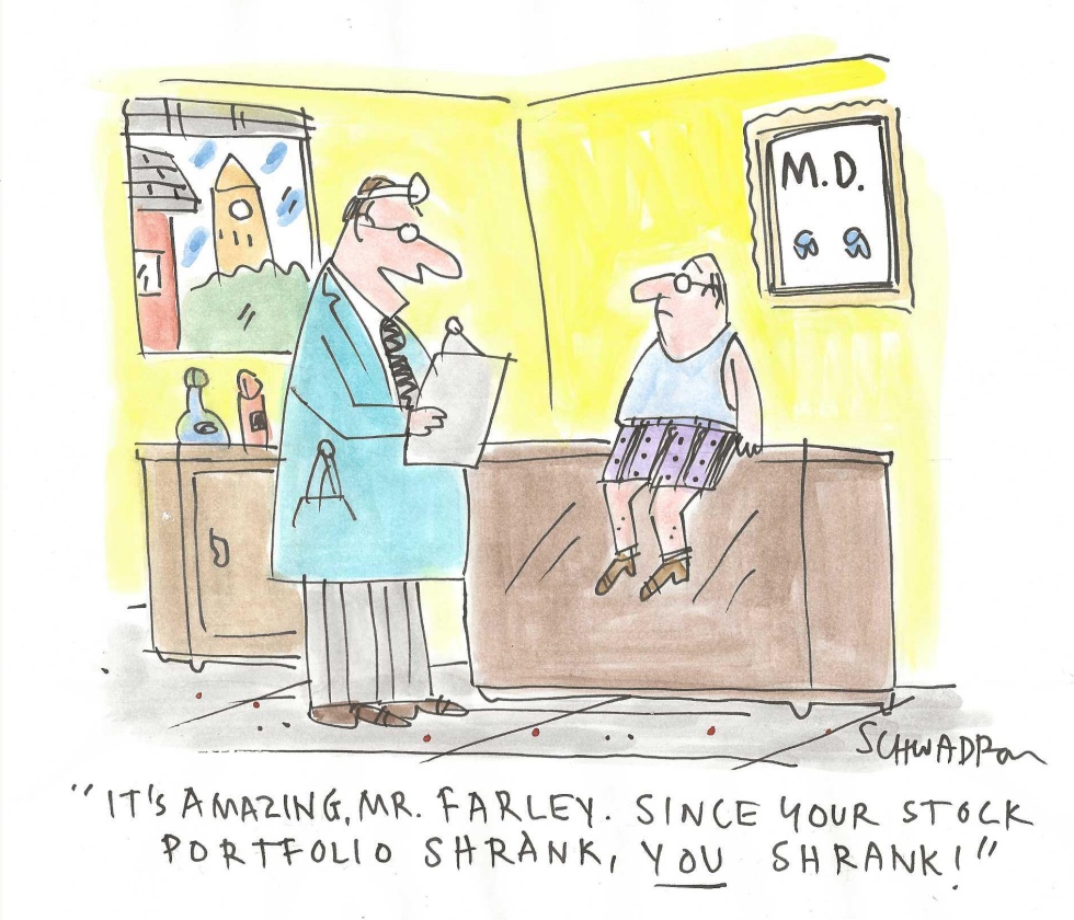 Portfolio Shrank