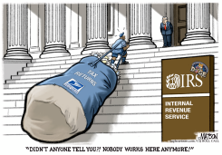 IRS STAFF REDUCTIONS by R.J. Matson