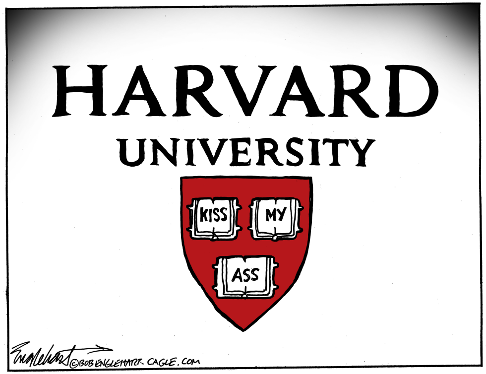 Harvard Shield Books Spell Out Defiance in New Cartoon